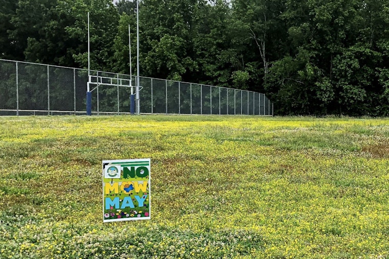 Carrboro Embraces "No Mow May" Initiative to Support Pollinators and Enhance Biodiversity