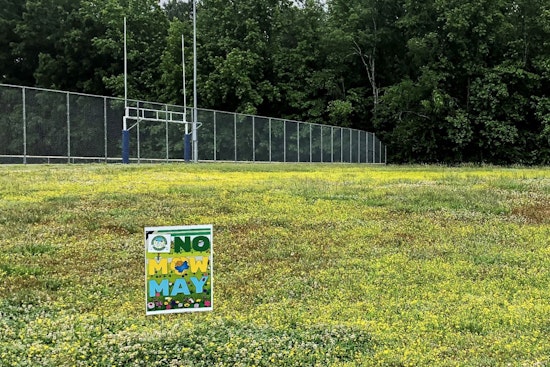 Carrboro Embraces "No Mow May" Initiative to Support Pollinators and Enhance Biodiversity