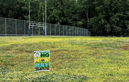 Carrboro Embraces "No Mow May" Initiative to Support Pollinators and Enhance Biodiversity