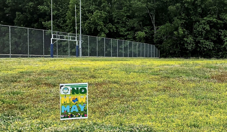 Carrboro Embraces "No Mow May" Initiative to Support Pollinators and Enhance Biodiversity