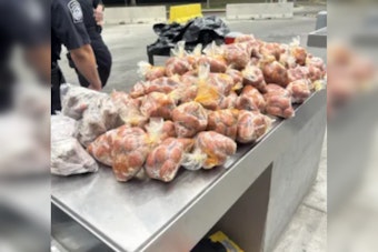 CBP Seizes Over 260 Pounds of Prohibited Pork Products Amid Holy Week Traffic at Juarez-Lincoln Bridge