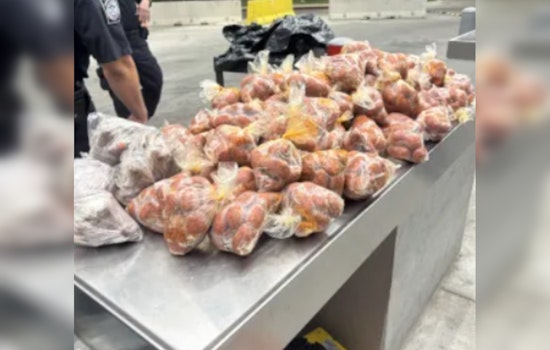 CBP Seizes Over 260 Pounds of Prohibited Pork Products Amid Holy Week Traffic at Juarez-Lincoln Bridge
