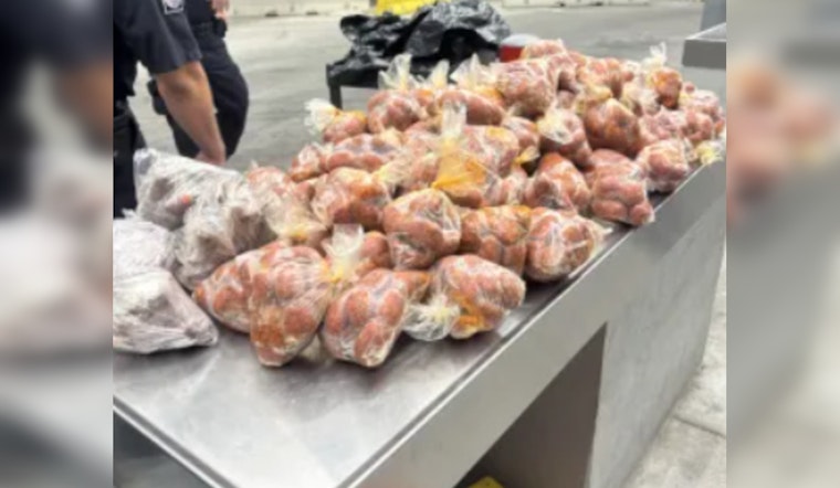 CBP Seizes Over 260 Pounds of Prohibited Pork Products Amid Holy Week Traffic at Juarez-Lincoln Bridge