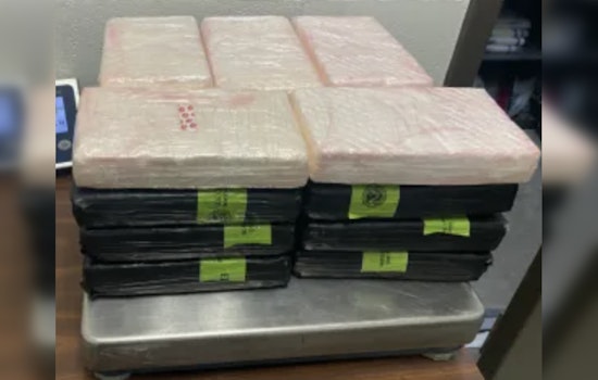 CBP Seizes Over $1.2 Million in Cocaine at South Texas Ports in Trio of Interceptions