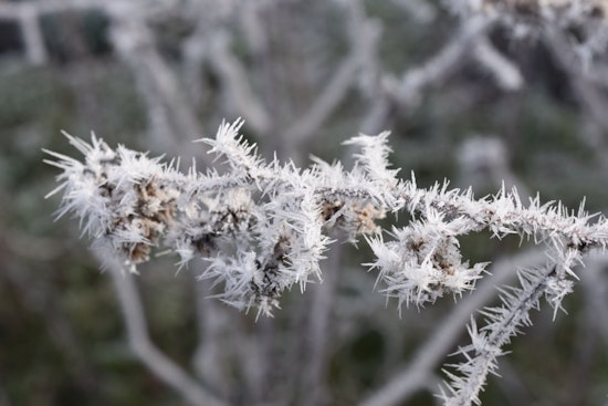 Central Indiana Under Frost Advisory as Severe Storms and Heavy Rain Loom on the Horizon