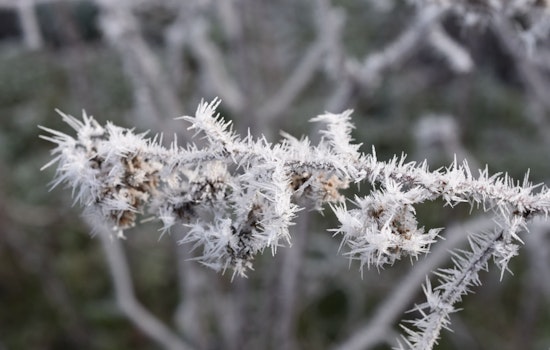Central Indiana Under Frost Advisory as Severe Storms and Heavy Rain Loom on the Horizon