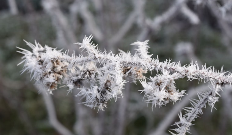 Central Indiana Under Frost Advisory as Severe Storms and Heavy Rain Loom on the Horizon