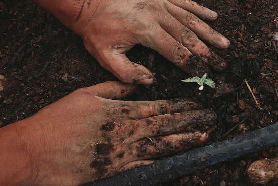 Charlotte Celebrates Earth Week with Student-Engaged Pollinator Gardens at Reid Park Academy
