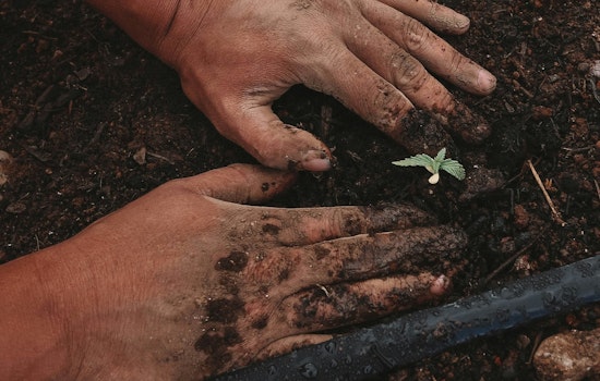 Charlotte Celebrates Earth Week with Student-Engaged Pollinator Gardens at Reid Park Academy
