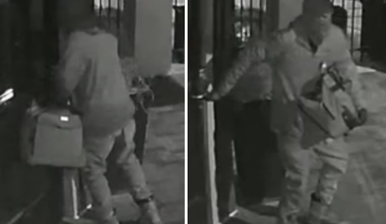 Charlotte Police Seek Public Help to Apprehend Serial Burglar in Steele Creek and Westover Areas