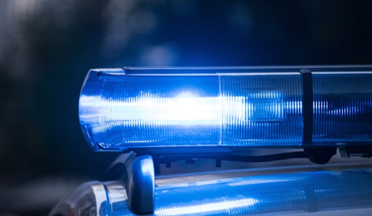 Chicago Businesses on High Alert After Spate of Burglaries in Lake View East, Lincoln Park, and Old Town Triangle