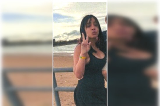 Chicago Police Seek Public's Aid in Search for Missing Teen Erianna Sofia Mata Mujica