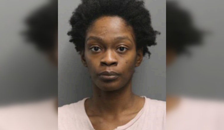 Chicago Police Seek Public's Help to Find Endangered Missing Woman from Bronzeville Community