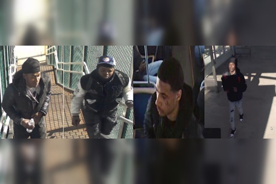 Chicago Police Seek Public's Help to Identify Suspects in CTA Green Line Incident on W Lake St