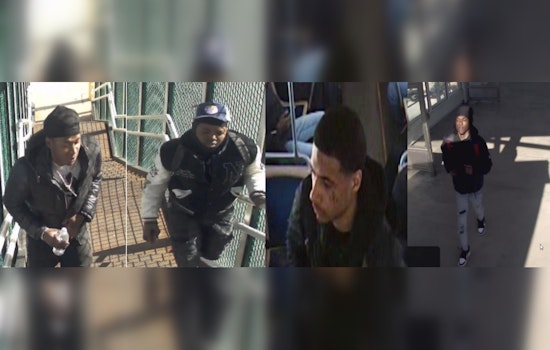 Chicago Police Seek Public's Help to Identify Suspects in CTA Green Line Incident on W Lake St