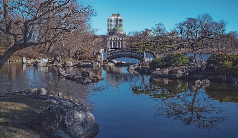 Chicago's Jackson Park Cherry Blossoms Radiantly Bloom After Years of Weather Woes