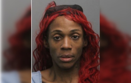 Chicago Woman Charged with First-Degree Murder and Attempted Arson in 2024 Fatal Stabbing Case