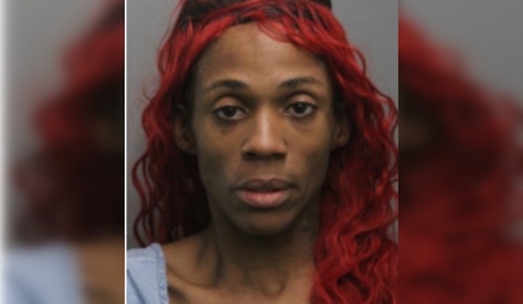 Chicago Woman Charged with First-Degree Murder and Attempted Arson in 2024 Fatal Stabbing Case