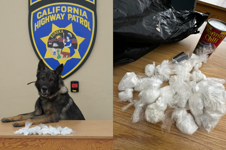 CHP K-9 Unit Detects Narcotics Leading to Arrest of Three Unlicensed Drivers on Bay Bridge