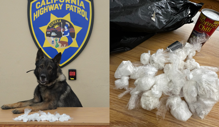 CHP K-9 Unit Detects Narcotics Leading to Arrest of Three Unlicensed Drivers on Bay Bridge