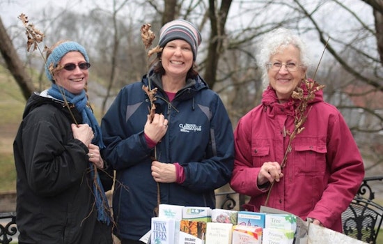 Clarksville Celebrates Arbor Day with Free Tree Seedling Giveaway at Liberty Park