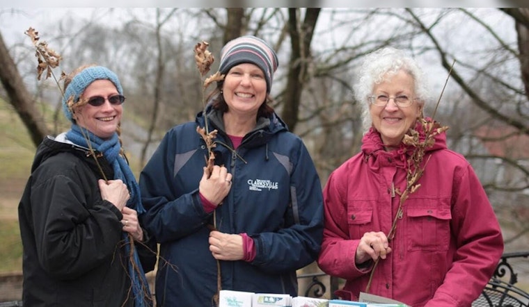 Clarksville Celebrates Arbor Day with Free Tree Seedling Giveaway at Liberty Park