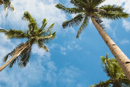 Clear Skies and Rising Temperatures to Hit 101 Degrees Friday