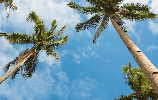 Clear Skies and Rising Temperatures to Hit 101 Degrees Friday