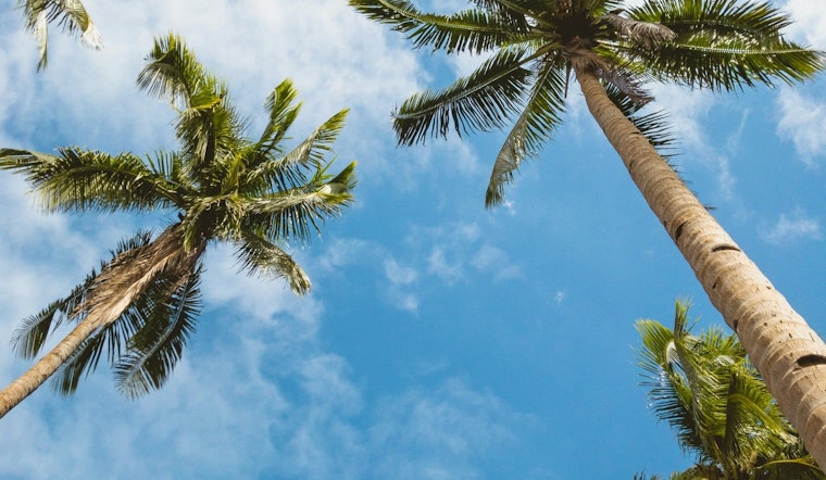 Clear Skies and Rising Temperatures to Hit 101 Degrees Friday