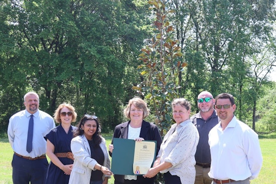 Collierville Marks Arbor Day with Sweetbay Magnolia Planting, Celebrating Two Decades as Tree City USA