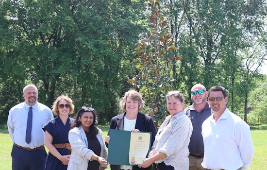 Collierville Marks Arbor Day with Sweetbay Magnolia Planting, Celebrating Two Decades as Tree City USA