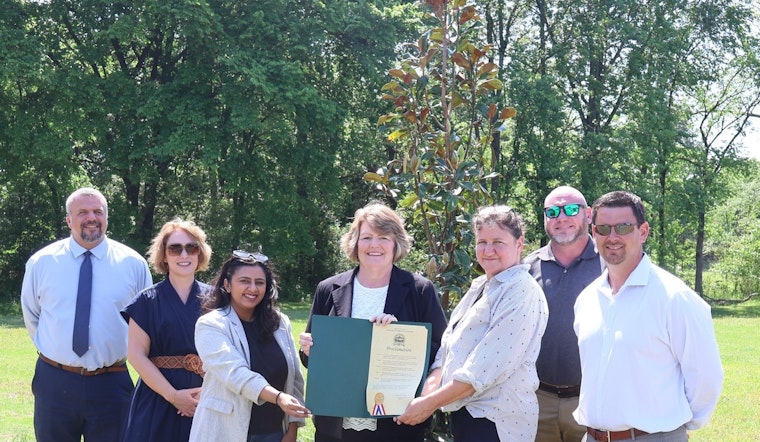 Collierville Marks Arbor Day with Sweetbay Magnolia Planting, Celebrating Two Decades as Tree City USA