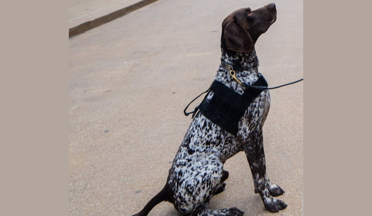 Community Unites to Find Missing Government-Issued K9 Near Joshua, Texas Schools