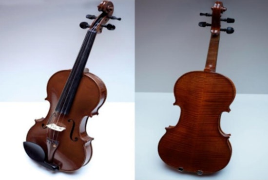 CPD Seeks Public Help After $10K Violin Stolen on CTA Blue Line in Chicago's Loop