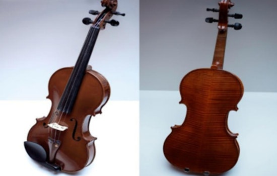 CPD Seeks Public Help After $10K Violin Stolen on CTA Blue Line in Chicago's Loop