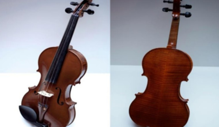 CPD Seeks Public Help After $10K Violin Stolen on CTA Blue Line in Chicago's Loop