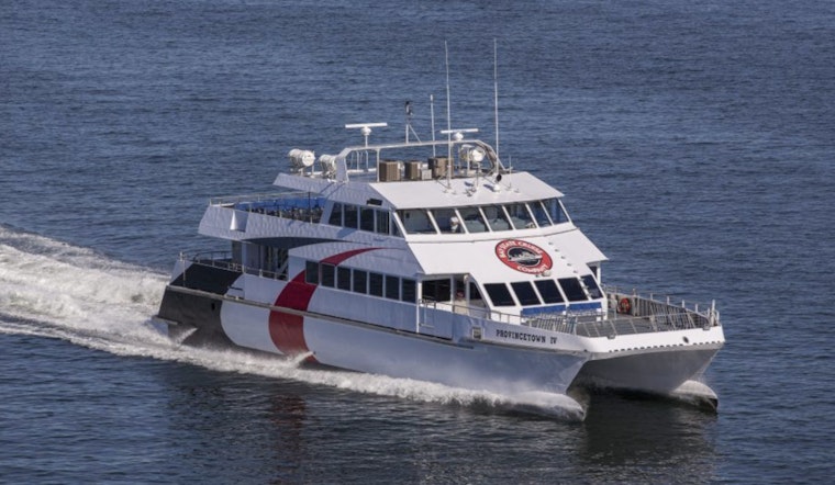 Cross Bay Ferry Between Tampa and St. Petersburg to End Service in April 2025 Amid Contract Disputes