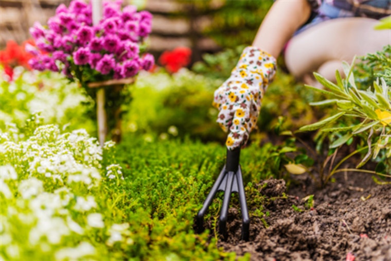 Cultivate Your Green Thumb at the Spring Plant and Herb Festival in Cabarrus County