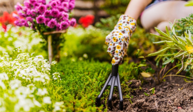 Cultivate Your Green Thumb at the Spring Plant and Herb Festival in Cabarrus County