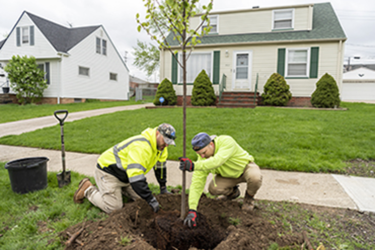 Cuyahoga County Enhances Climate Fight with $4.75M in Healthy Urban Tree Canopy Grants