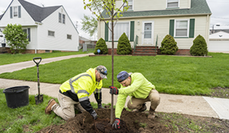 Cuyahoga County Enhances Climate Fight with $4.75M in Healthy Urban Tree Canopy Grants