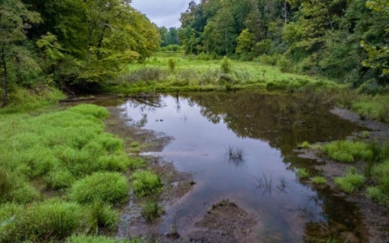 Dakota County Seeks Volunteers for Wetland Health Evaluation Program in Apple Valley, Burnsville, and Beyond