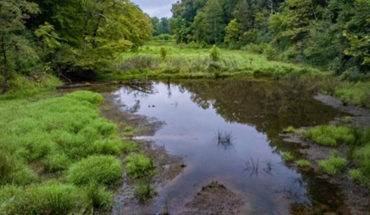 Dakota County Seeks Volunteers for Wetland Health Evaluation Program in Apple Valley, Burnsville, and Beyond