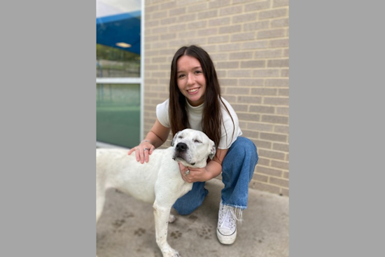 Dallas Animal Services Welcomes New Volunteer and Marketing Coordinators Amid Protocol Updates and Upcoming Events