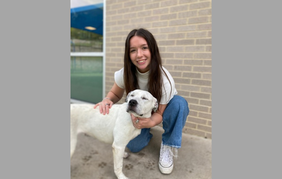 Dallas Animal Services Welcomes New Volunteer and Marketing Coordinators Amid Protocol Updates and Upcoming Events