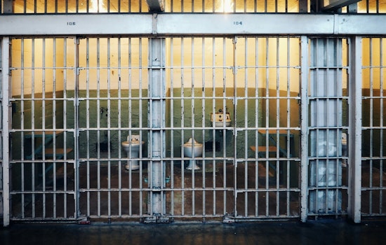 D.C. Man Sentenced to 10 Years for Armed Carjacking Spree, Junious Plummer Pleads Guilty to Firearm Charge
