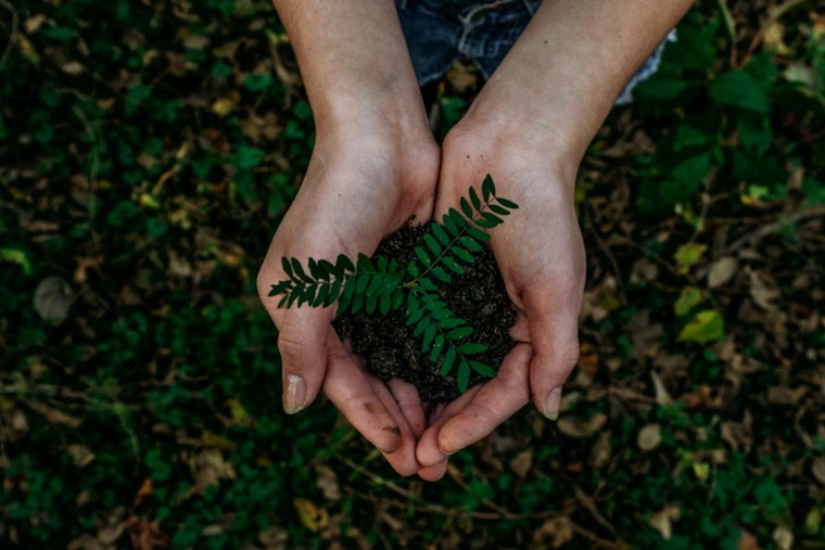 DeKalb County Reaffirms Commitment to Sustainability on Earth Day 2025 with Focus on Renewables and Green Infrastructure