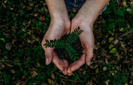 DeKalb County Reaffirms Commitment to Sustainability on Earth Day 2025 with Focus on Renewables and Green Infrastructure