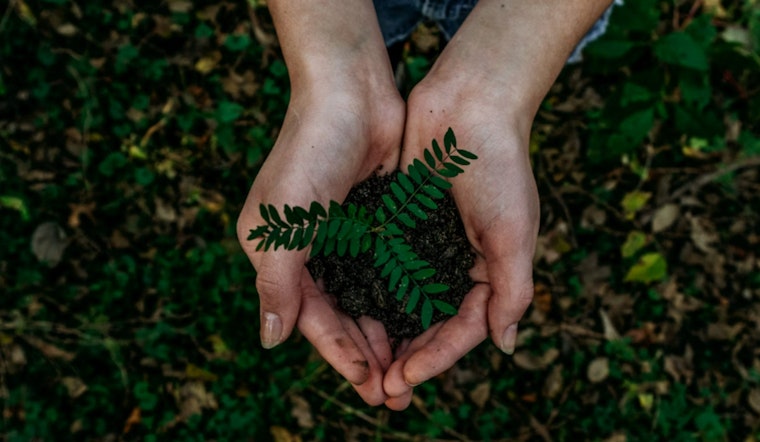 DeKalb County Reaffirms Commitment to Sustainability on Earth Day 2025 with Focus on Renewables and Green Infrastructure