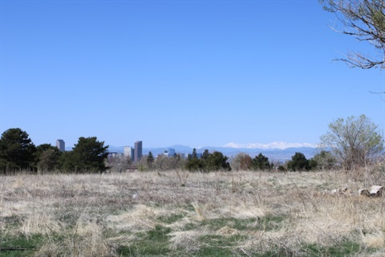 Denver Engages Sasaki for Major Park Hill Golf Course Transformation into 155-Acre Public Park